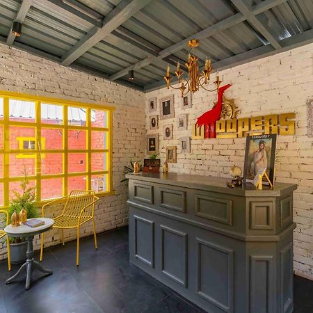 Whoopers Boutique Kasolホステル エクステリア 写真